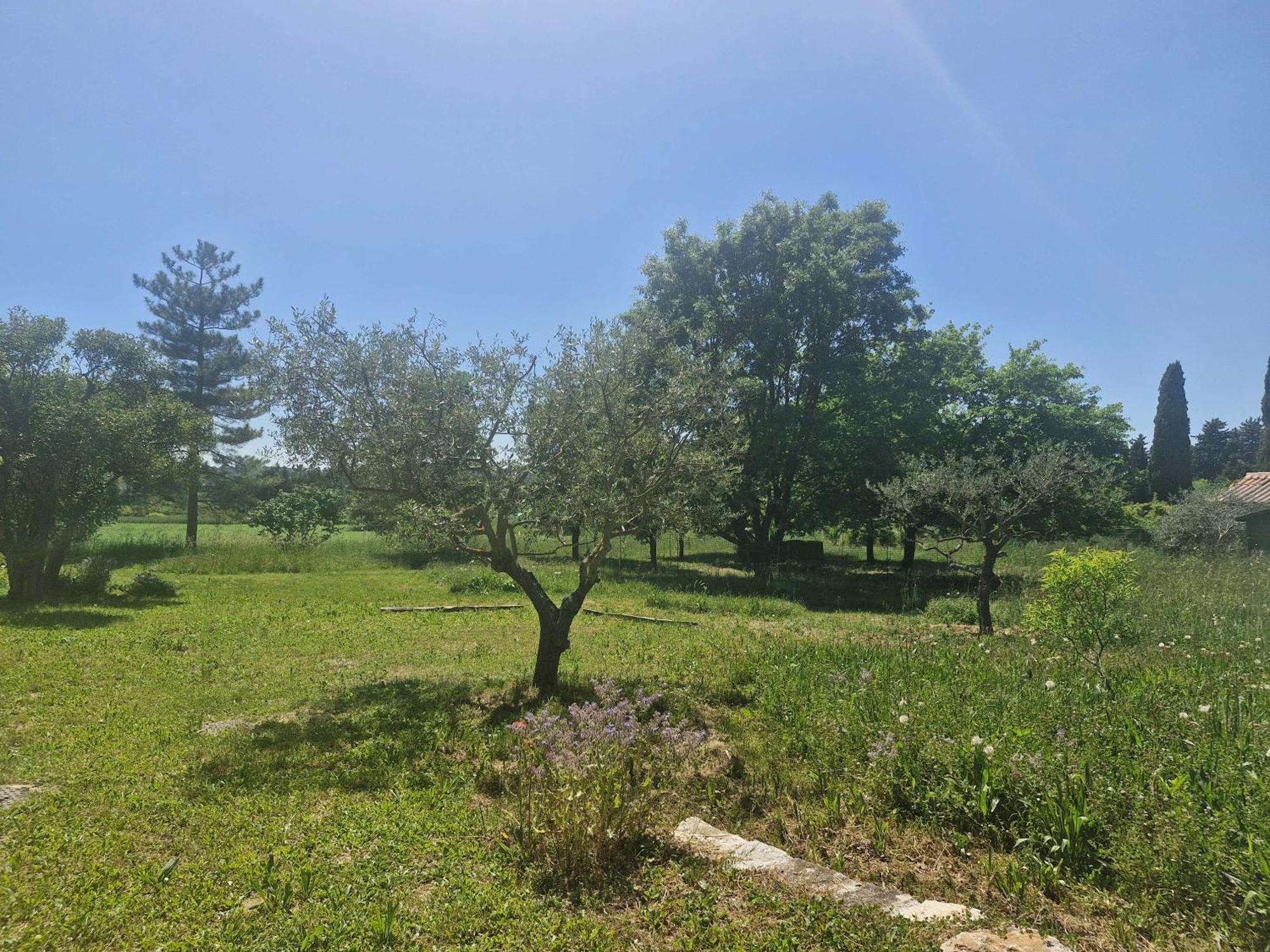 La Bastideta, Apartment Fayence Luaran gambar